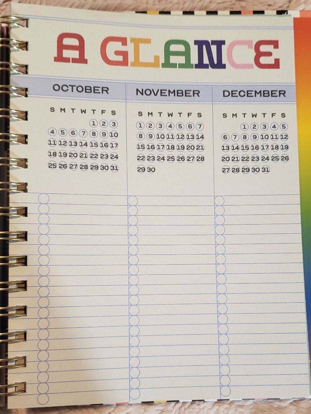 NEW- ban.do 17 Month Planner. Notes, Trackers, stickers. - Picture 7 of 9
